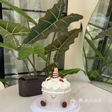 长沙｜老社区的蛋糕甜品店环境也太舒服啦…