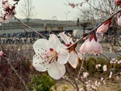 -北京华联购物中心(同成街店)