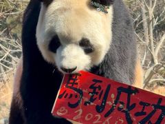 -大连森林动物园