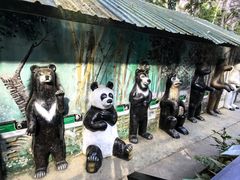 -关西瀑布
