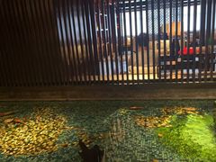 -手佳·水疗汇(嘉益店)