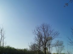 -东郊湿地公园