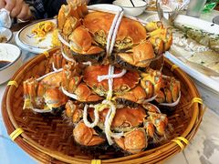 -蟹天蟹地农家菜·阳澄湖大闸蟹(浅水湾店)