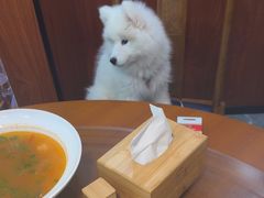 -光海·乡记酸菜鱼·始于1996(花园路店)