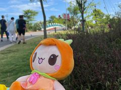 -上海长兴岛郊野公园