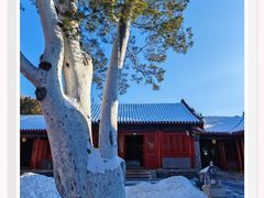 -法海禅寺
