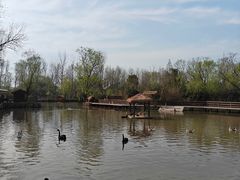 -溱湖国家湿地公园