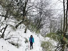 -九峰山