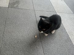 -京北渔家傲