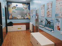 -瑞派·关忠动物医院·异宠专科·犬猫肿瘤·皮肤专科(望京店)