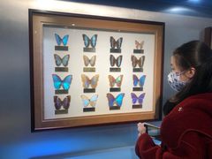 -上海昆虫博物馆