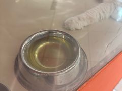 -三花喵·撸猫购宠·宠物生活馆(虹桥南丰城店)