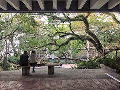 -香港大学