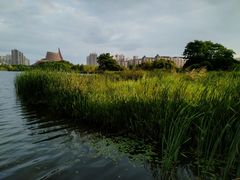 -白鹭湾湿地公园