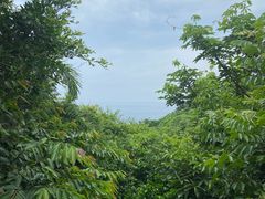 -三亚蜈支洲岛旅游区
