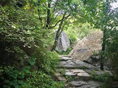 -阳台山自然风景区