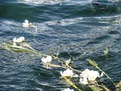 -丽江泸沽湖景区