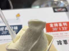 -野人先生现做冰淇淋(西安赛格店)