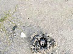 -北海金海湾红树林生态旅游区