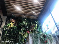 -那胡同里的小烤肉馆(开发区万达店)