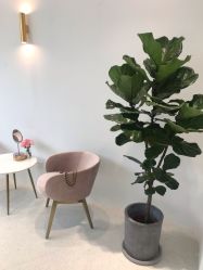 -优加东京秀烫染SALON