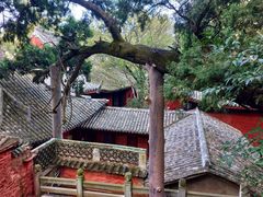 -七曲山风景区