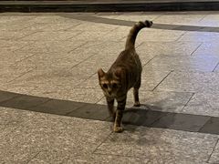 -叁 Three· bistro餐酒馆