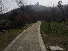 -采石矶景区