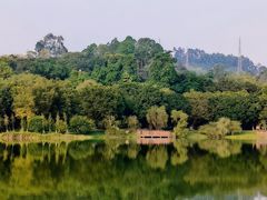 -番禺大夫山森林公园