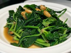 -阿五黄河大鲤鱼(纬三路店)