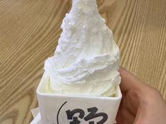 -野人先生Gelato(上海长宁龙之梦店)