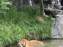 -宁波野生动物园