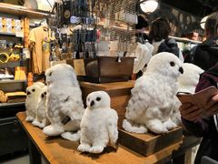 -九又四分之三站台哈利波特商店