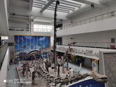-中国地质大学逸夫博物馆