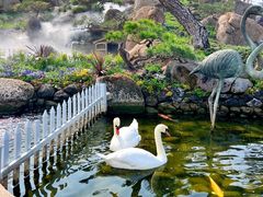 -罗红摄影艺术馆