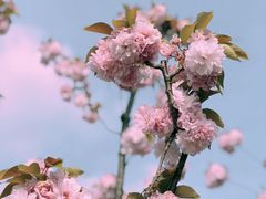 -上海山野camping·户外天幕烧烤·团建拓展营地