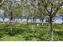 -西昌邛海湿地