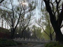 -菖蒲河公园