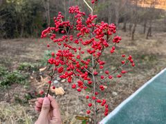 -南京市江宁方山