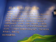 -贵凤凰贵州米粉(望京店)
