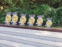 -终南山南五台景区