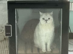 -嘉馨宠物医院·CT影像转诊·心脏科·犬猫全科诊疗中心(下沙大学城院区)