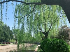 -元大都城垣遗址公园