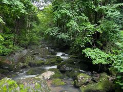 -香炉山国家森林公园