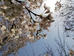 -西安青龙寺遗址景区