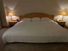 -南京维景国际大酒店(南京博物院店)