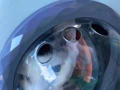 -佳雯宠物医院(四明中路分院)