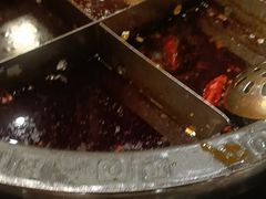 红汤锅底-丰犊老火锅(井口店)