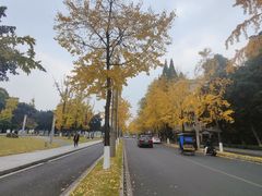 -四川大学(望江校区)