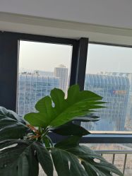 -HEYAN荷妍专业脱毛连锁机构